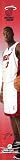Miami Heat Measure Up Growth Chart