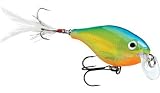 Rapala 08 X-Rap Shad Shallow Sure Set Fishing Lure