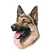 Personalized Pet Gifts - German Shepherd Dog Breed Products