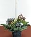 Christmas Table Centrepiece