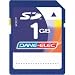 Electronics : Dane Elec 1 GB Secure Digital Card