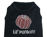 Pet Dog Cat Halloween Lil Punkin Rhinestone T-Shirt Size XXXL Staff Bull Terrier, Beagle, Mixed, Spanial, Border Collie