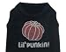 Pet Dog Cat Halloween Lil Punkin Rhinestone T-Shirt Size XXL Staff Bull Terrier, Whippet, Mixed, Border Collie, Spaniels