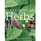 Growing Herbs