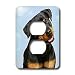 Dogs Rottweiler - Rottweiler - Light Switch Covers - 2 plug outlet cover