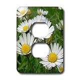 Flowers - Daisy - Light Switch Covers - 2 plug outlet cover
