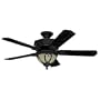 Stonehaven Ceiling Fan by Hunter Fans