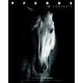 Pferde im Portr�t (Natur, Tiere)