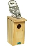 Saw-Whet/Screech Owl House