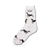 For Bare Feet Springer Spaniel Poses Socks