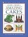 Bake and Make Amazing Cakes (Kids Can Do It)