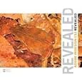 Adobe InDesign CS3 Revealed (Revealed (Thomson)) by Chris Botello