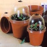 Haxnicks L756 5 Inch Bell Boy Plant Protectors - Set of 5 - no Vent