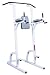 Maximus Fitness MX378 Chin Up Knee Raise and Dip Station