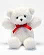 10" White Kuddles Bear