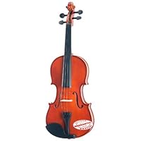 Student Violin Outfit 1/16