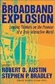The Broadband Explosion: Leading Thinkers On The Promise Of A Truly Interactive World (Crash Course)