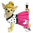 Aye Chihuahua! Sock Hop 2009 Collectible Figurine