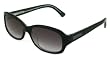 Calvin Klein Sunglasses - 7702S / Frame: Gray Horn Lens: Gray Gradient