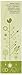 MyChelle Dermaceuticals Ultimate Lash and Brow Serum -- 0.16 oz