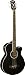 Washburn Acoustic Basses AB5BK Acoustic Bass, Black