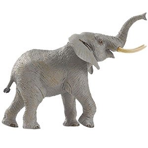 Safari Wildlife Wonders African Elephant