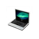 Dell Inspiron Mini 9 (2 GB RAM, 16GB SSD, Windows XP, 1.3MP Webcam, WiFi, Bluetooth) Alpine White