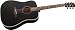 Alvarez RD010BK Regent Series Dreadnought Acoustic Guitar Black