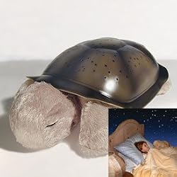 twilight turtle