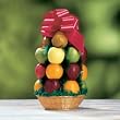 Good Cheer Fruit Basket