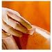 Search : 420400 Wipes Personal Skin-Prep Non-Sterile LF 50/Bx by Smith & Nephew Wound Care