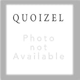 Quoizel No Series Canopies - PC1500VB