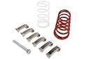 EPI Sand Dune Clutch Kit WE437019