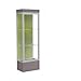 Edge Series Floor Display Case Frame Color: Satin, Base Color: Morro Zephyr, Case Backing: Pale Green