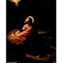 Gethsemane II (Jesus Praying) Art Poster Print - 13x19