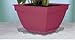 Curtis Wagner Clear Carpet Saver Heavy Duty Square Plant Saucer (14