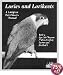 Barrons Books Lories and Lorikeets Manual