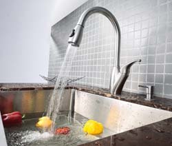Kitchen Faucet in Stainless Steel DOES NOT Includes Soap Dispenser