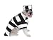 Halloween Prisoner Costume Small