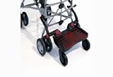 from Lascal Lascal Basic Buggy Board Black/Red Model 2310