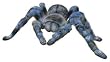 Uncle Milton Radio Control Tarantula