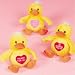 Set of 3 Plush Valentine Rubber Ducks