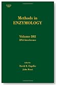 Methods in Enzymology, Volyme 392: RNA Interference