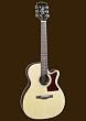 Sierra SA28C Acoustic Cutaway Guitar Set- Sunrise Series