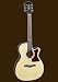 Sierra SA28C Acoustic Cutaway Guitar Set- Sunrise Series