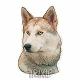 Eigenschaften Trixie  / Aufkl. Siberian Husky, (K)