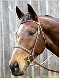 HDR Advantage Plain Raised Snaffle Bridle