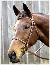 HDR Advantage Plain Raised Snaffle Bridle