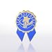Lapel Pin - Star Performer Ribbon