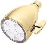 Speakman S-2005-BBHOTEL Anystream 2000 Showerhead, Bright Brass